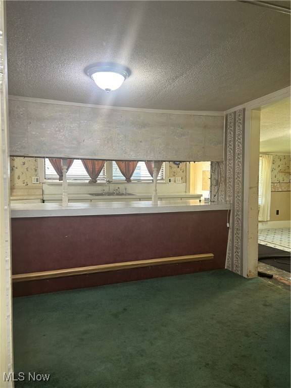 Geneva, OH 44041,4820 S Ridge RD