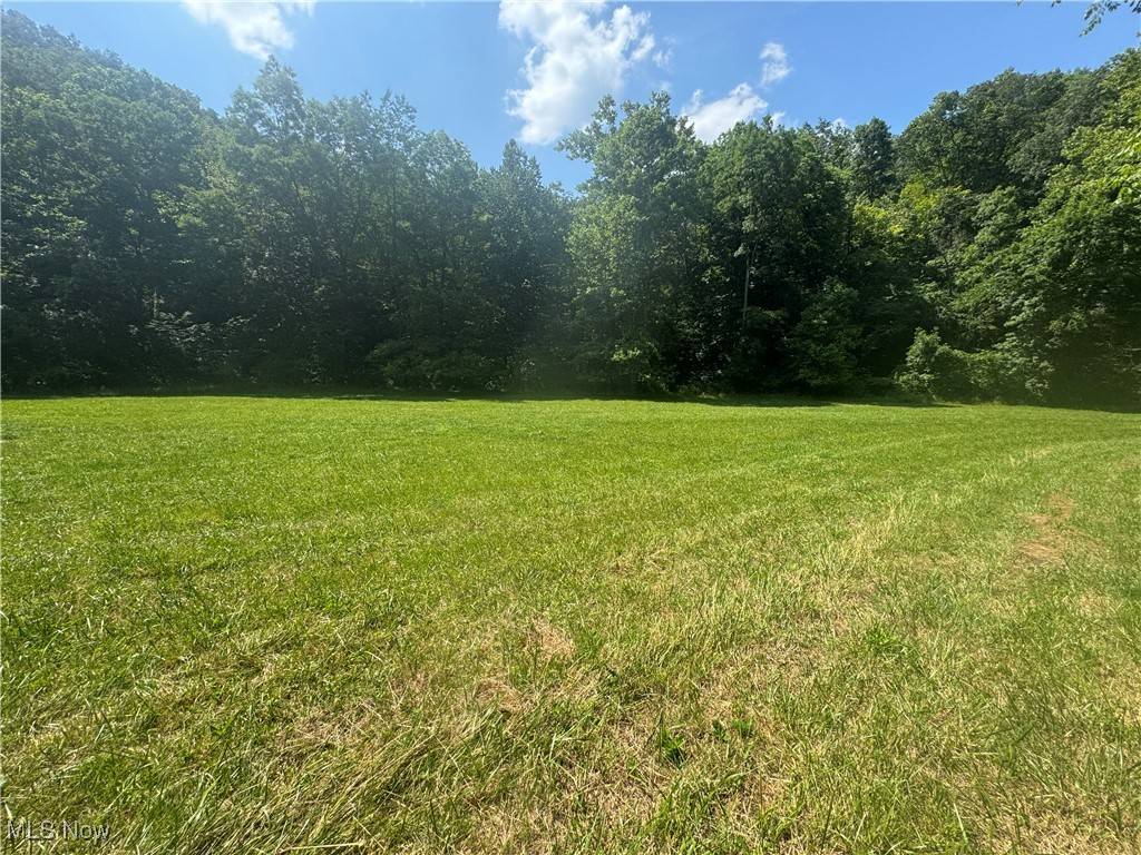 Lot 2 County Rd 9, New Matamoras, OH 45767
