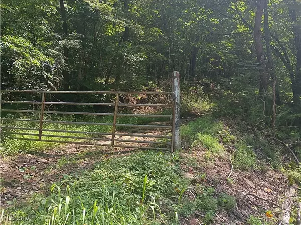 R 9, Arnoldsburg, WV 25234