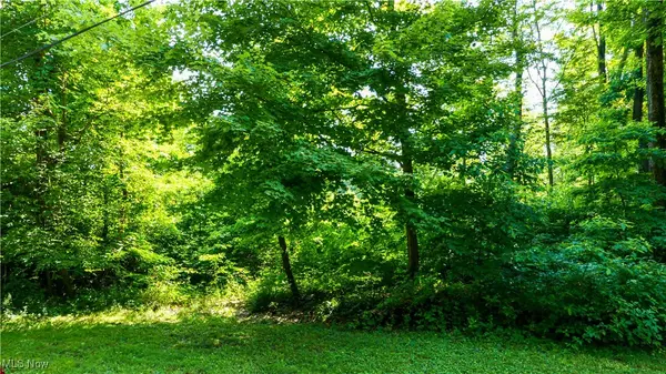 V/L Fenstermaker RD, Garrettsville, OH 44231