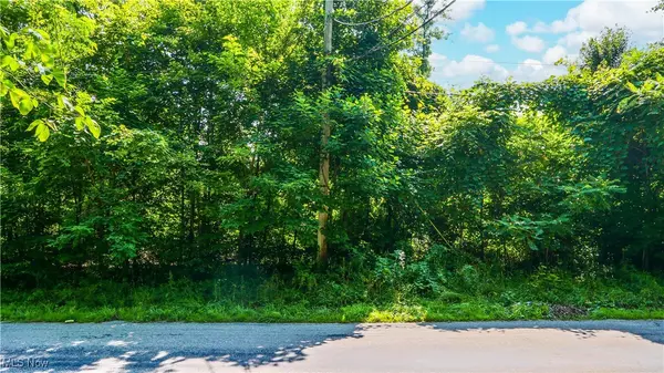 Garrettsville, OH 44231,V/L Fenstermaker RD