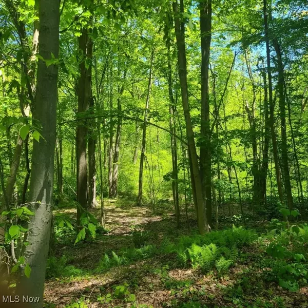 Madison, OH 44057,S/L 26 Old Mill RD