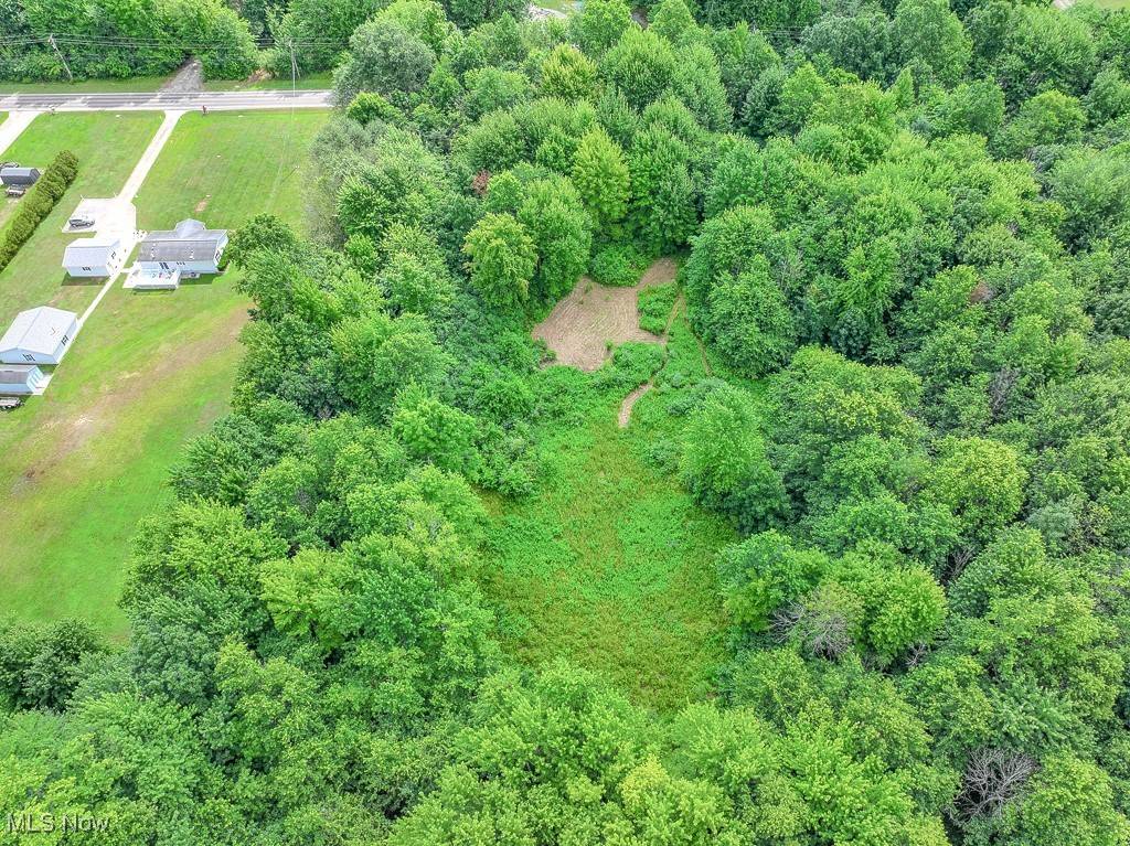 Geneva, OH 44041,V/L Austin RD