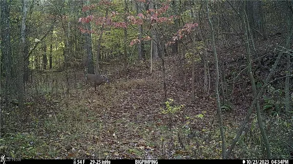 Salineville, OH 43945,Hazel Run RD