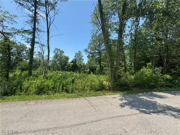 Lorain, OH 44055,Denver AVE