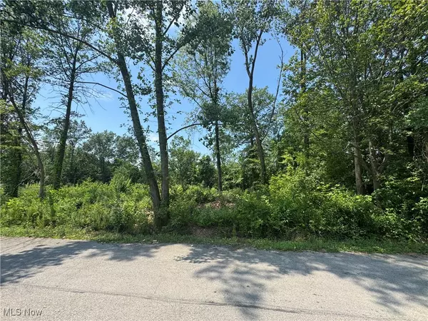 Lorain, OH 44055,Denver AVE