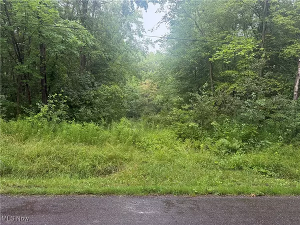 Mahan Denman RD NE, Bristolville, OH 44402