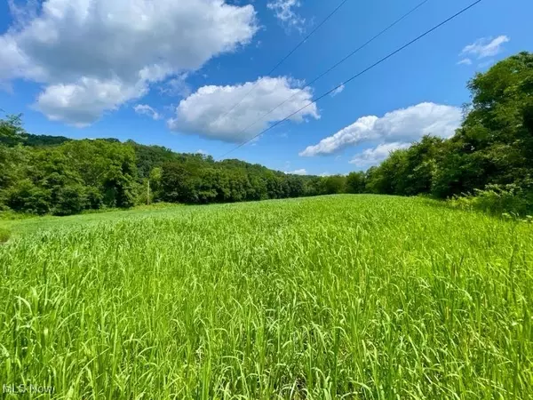 Kimbolton, OH 43725,70810 Angus RD