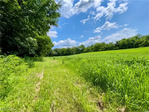 Kimbolton, OH 43725,70810 Angus RD