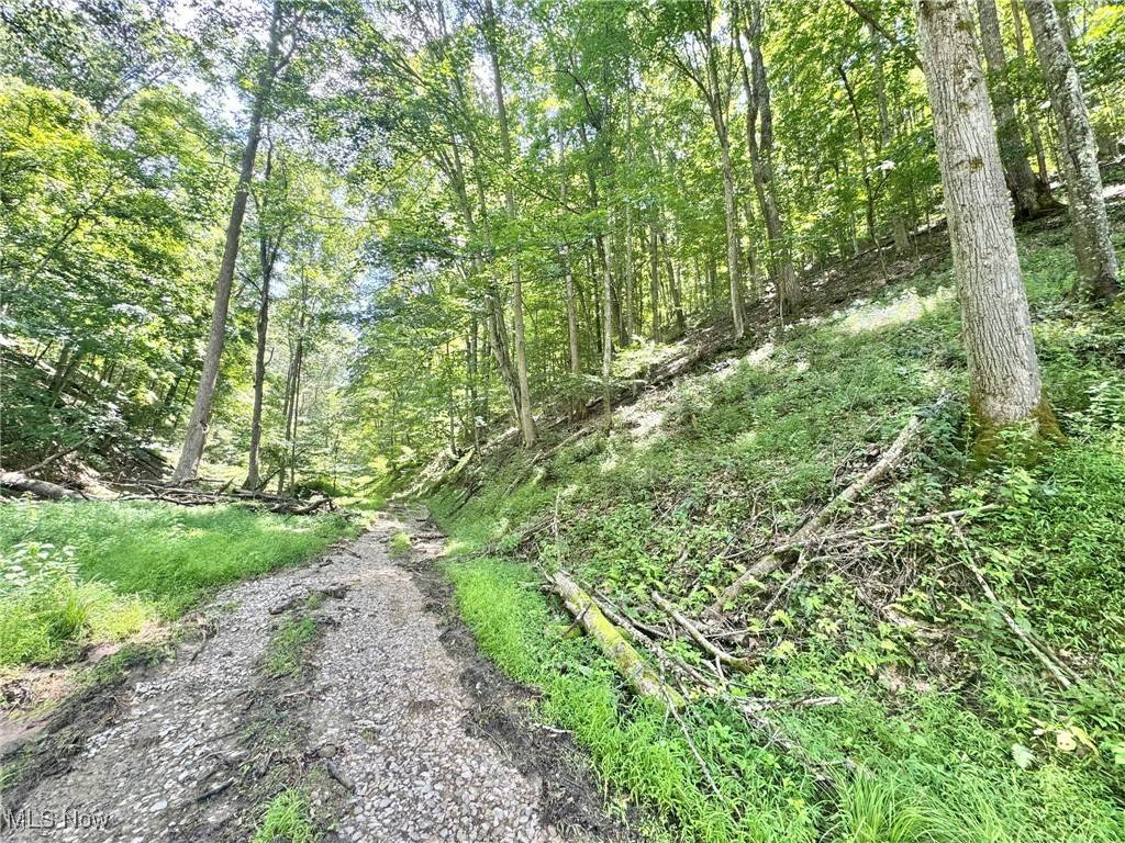 1588 Crummies Creek RD, Arnoldsburg, WV 25234