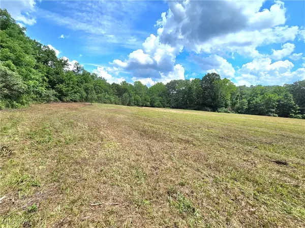 Stockport, OH 43787,7.38 acres Rosseau Co. Rd. 13 RD