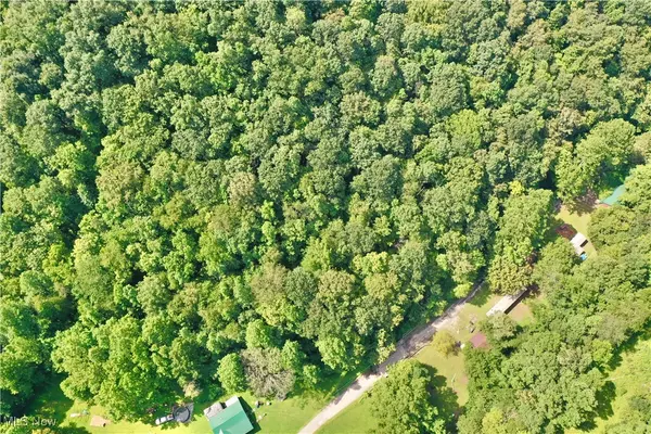 Big Bend, WV 26136,0002 Big Root RD