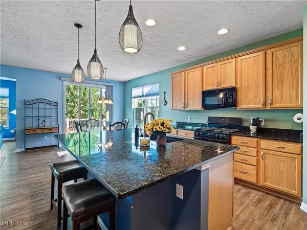 Lorain, OH 44053,3831 Heron DR