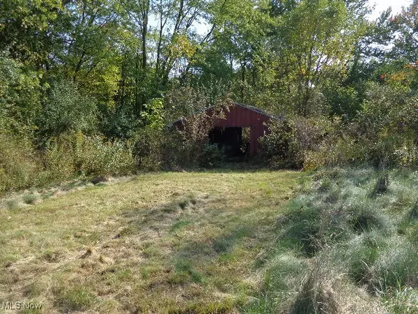 Doylestown, OH 44230,15493 Valleyview RD