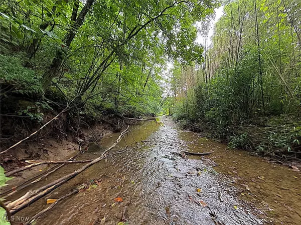 0 Paw Paw RD, Lower Salem, OH 45745