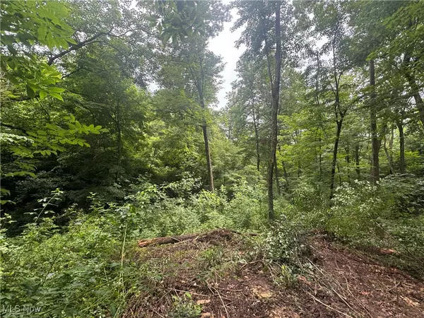 Hopewell, OH 43746,Flint Ridge Road
