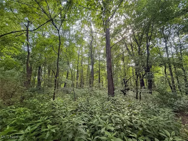 Shawnee, OH 43782,St Rt 93