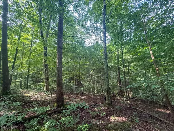 Shawnee, OH 43782,Twp Rd 273