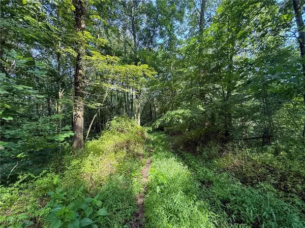 Shawnee, OH 43782,Twp Rd 273
