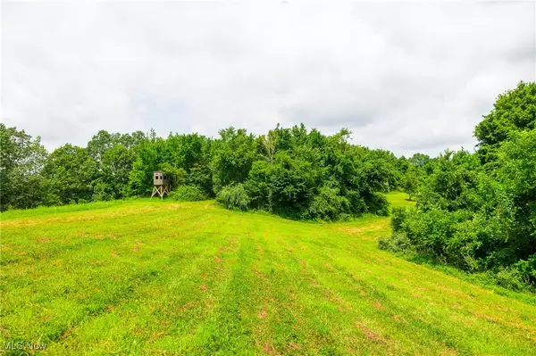 Harrons Ridge RD, Dexter City, OH 45727