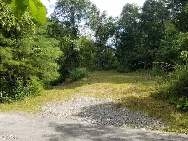 Rayland, OH 43943,3209 Township Road 156