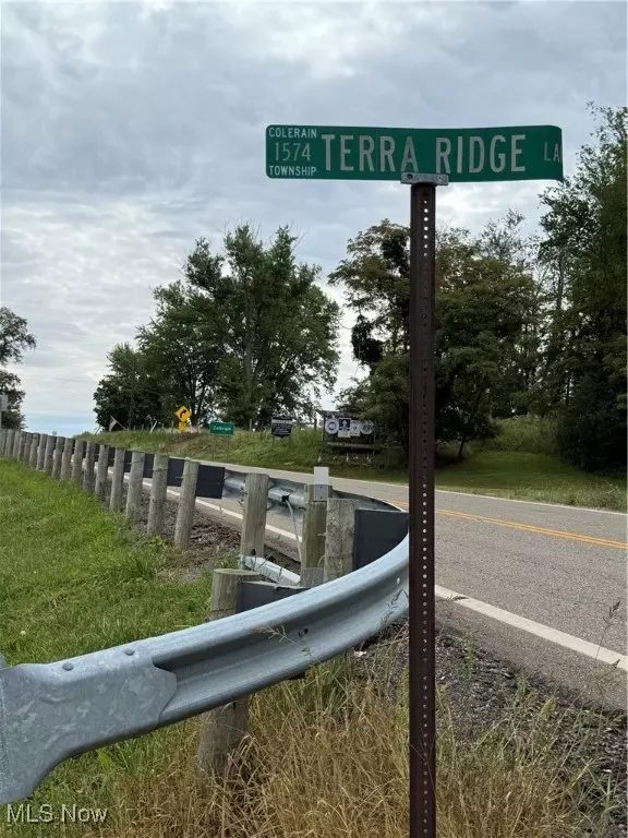 Dillonvale, OH 43912,Terra Ridge Lane