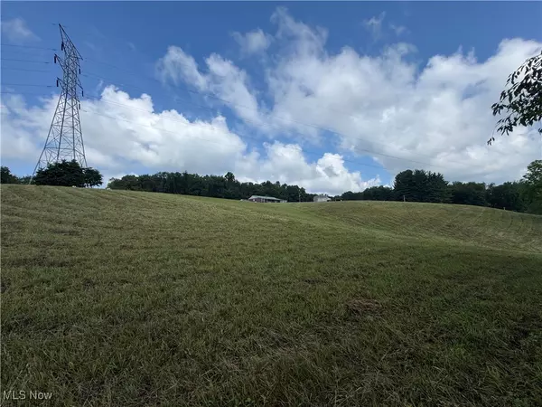 Chandlersville, OH 43727,2125 Long RD