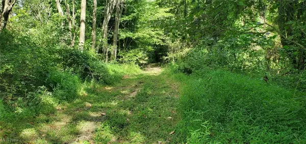 Chester, WV 26034,TBD Fairview RD