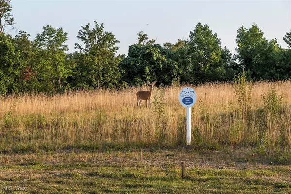 North Royalton, OH 44133,7595 Margaret DR