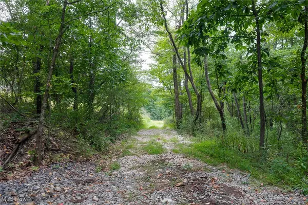 Lisbon, OH 44432,Elkton RD