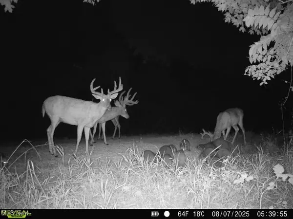 Stockport, OH 43787,0 Downing Road