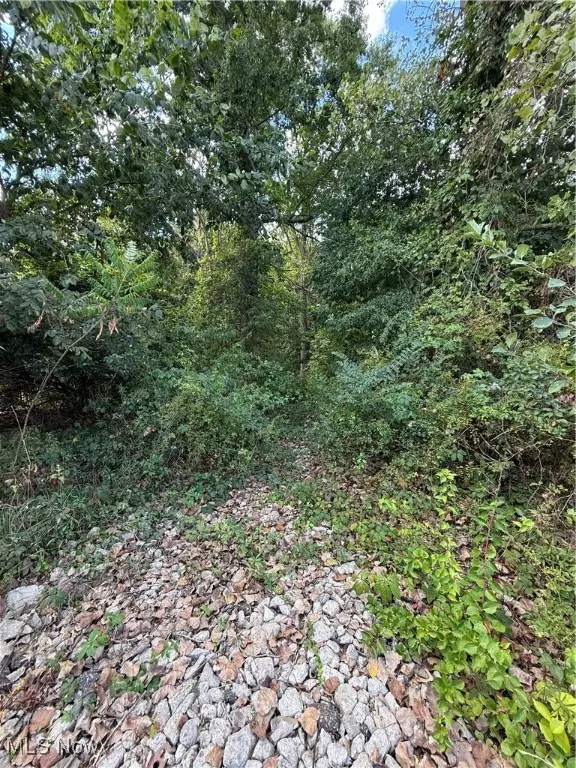 Kent, OH 44240,V/L Sherman RD