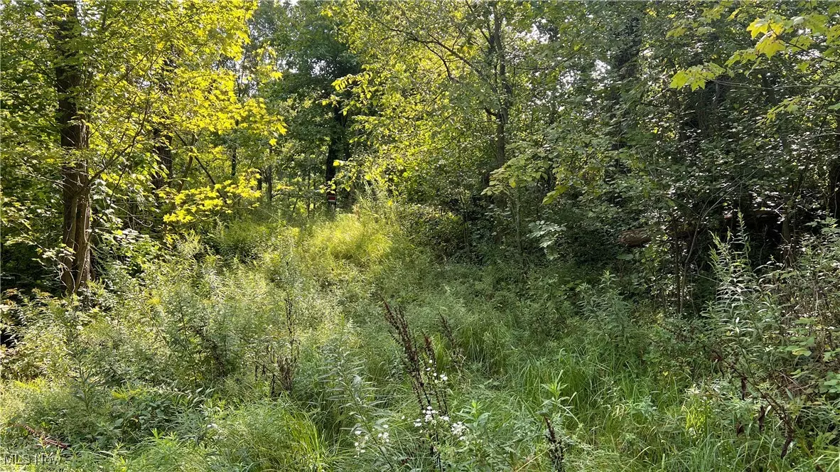 Girard, OH 44437,W Liberty