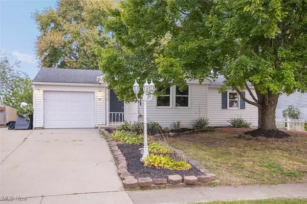 Rittman, OH 44270,98 Strawberry HL