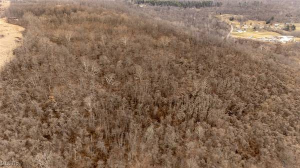 Powhatan Point, OH 43942,0 Mt. Victory RD