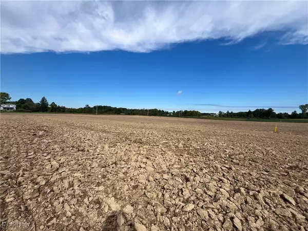 Sullivan, OH 44880,V/L Township Road 391