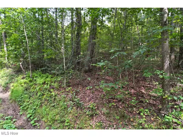 Newcomerstown, OH 43832,Fansler LN SW