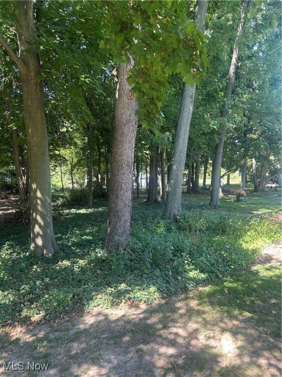 Painesville Twp, OH 44077,Jackson ST