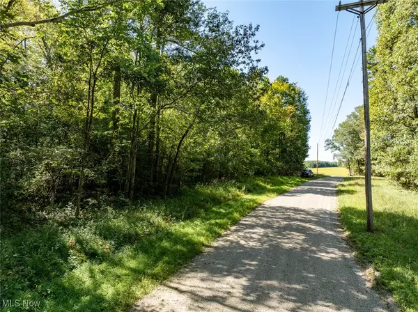 Lot 2 Shinn RD, Stockport, OH 45724