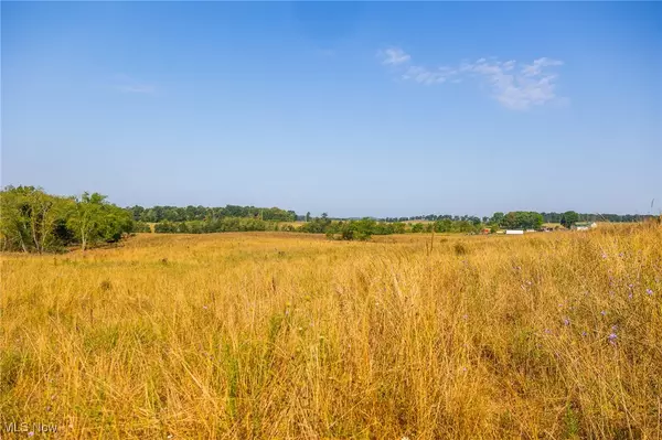 Salineville, OH 43945,Lewis RD