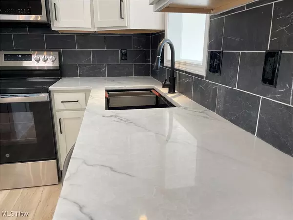 Painesville Twp, OH 44077,135 Nantucket CIR