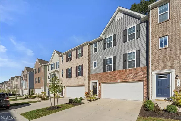 Akron, OH 44313,1113 Bean LN