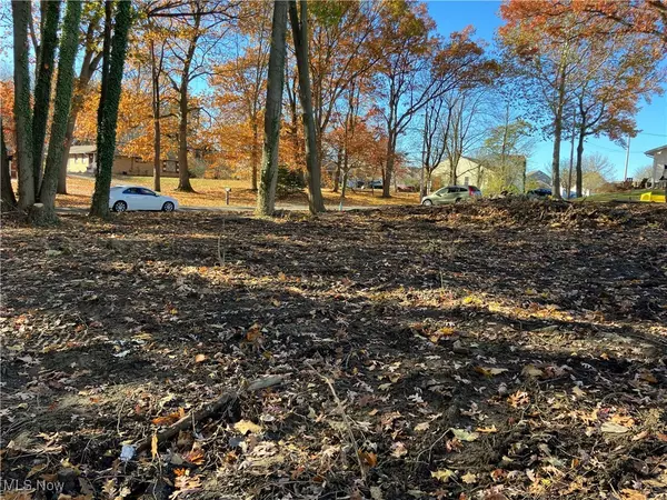 Akron, OH 44319,Woodview DR