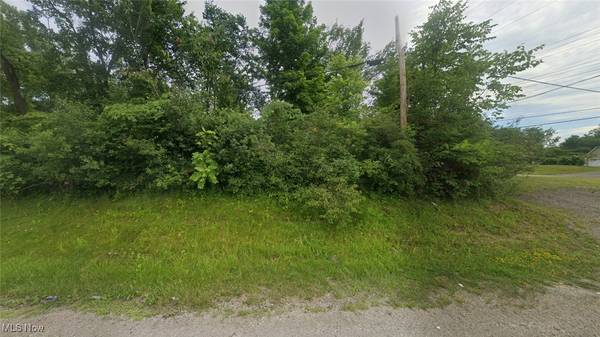 Brunswick Hills, OH 44212,VL Laurel & Substation RD