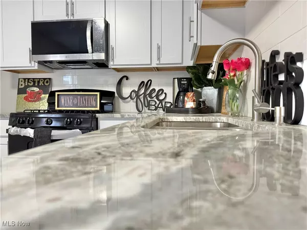 Cleveland, OH 44111,11002 Parkhurst DR