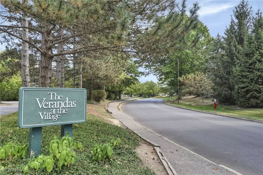 Beachwood, OH 44122,26101 Village LN #203