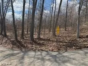 Logan, OH 43138,V/L Logan Horns RD