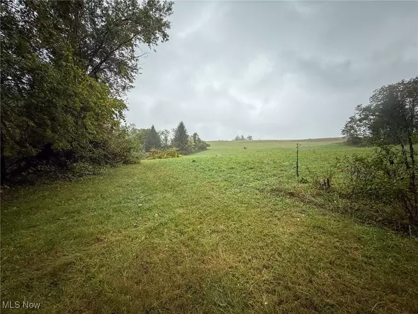 Dillonvale, OH 43917,County Rd 11