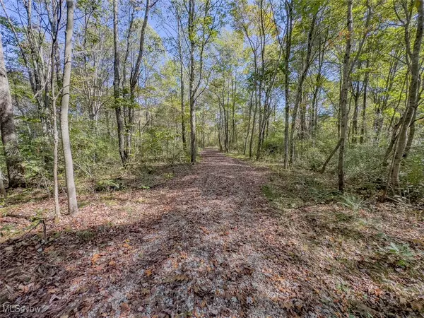 Creola, OH 45622,Parcel 2 Bethel RD