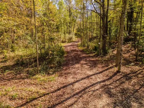 Creola, OH 45622,Parcel 2 Bethel RD